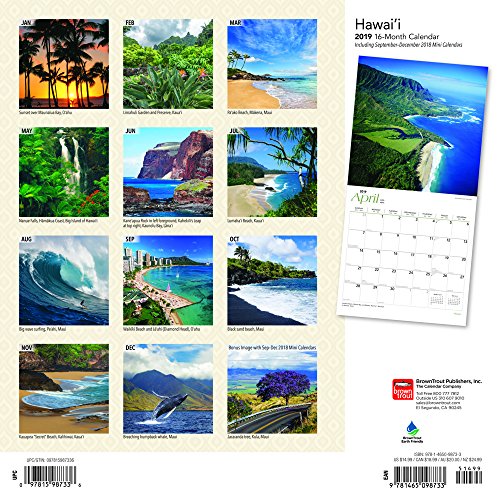 Hawaii 2019 12 x 12 Inch Monthly Square Wall Calendar with Foil Stamped Cover, USA United States of America Noncontiguous State Nature (Multilingual Edition)