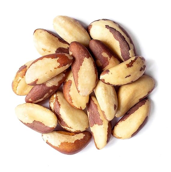 Dry Fruit Hub Brazil Nuts 100gm, Brazillian nut, Premium Jumbo Brazil
