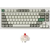 Keychron Q1 Max RGB QMK/VIA Custom Mechanical Keyboard, Full Metal Programmable Knob 2.4 GHz/Bluetooth/Wired Keyboard with Hot-Swappable Gateron Jupiter Red Switch for Mac Windows Linux - White