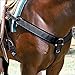 Professionals Choice Equine Neoprene Breast Collar (Universal Size, Black)thumb 1