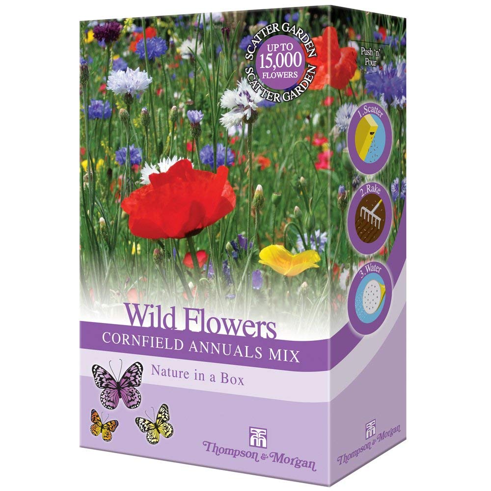 Wildflower Annual Cornfield Plant Garden Seed Grow Your Own Cornflowers & Grasses 1 x 15g Mixed Pack by Thompson & Morgan