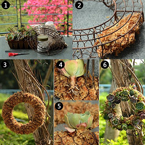 Iron Wire Wreath Succulent Pot Hanging Planters Rustic Plant Holder Basket with Hook for Home Garden Decor - Round Shape