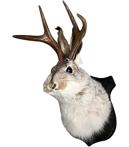 Amazon.com: Shouhengda Animal Head Wall Decor, Bunny Head Antlers