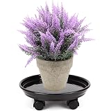 planter plastic box Black Form Square Nursery Pots