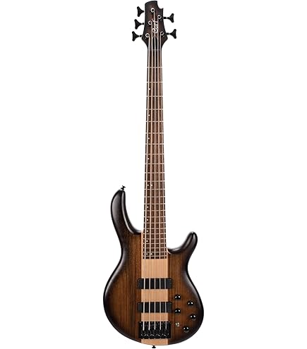 Amazon.com: Cort ACTIONBASSVPLUSBK Action Bass V Plus 5 String 