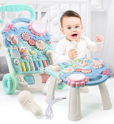 wanderer baby walker