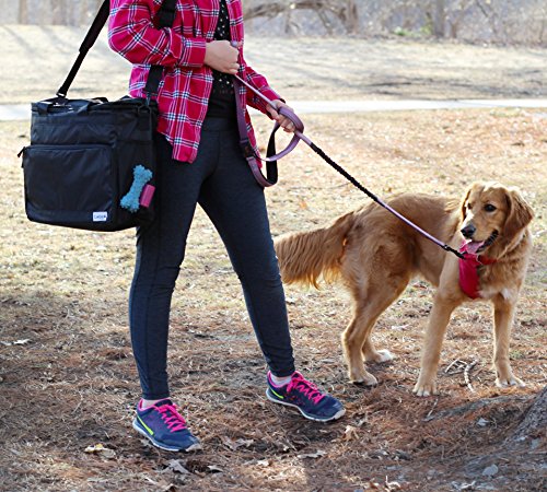Labra Pet Dog Pet Travel Bag Carry On Luggage - Includes Bag, Pet First Aid Kit, Lined Food Containers, Collapsible Bowls and Placemat - Thumbnail 3