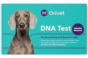 ORIVET Dog DNA Test Kit - Labrador Retriever Full Breed Profile | Puppy Testing Against 250 Medical Health Risks & Traits | Genetic Fingerprint & Wellness Plan | at Home Cheek Swab