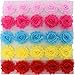 Mybigqueen 5 Piece Boutique Shabby Chic Fabric Rose Flowers Trim DIY Chiffon Frayed Tulle Flower, 10 Colors