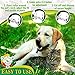 GreenfortNeo Pest Control Collar: Hypoallergenic Waterproof Protection Long Lasting Flea and Tick Prevention Fully Adjustable one Size fits Allthumb 3