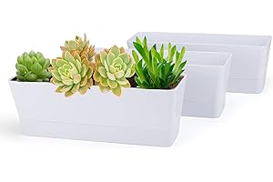 GREANER Flower Boxes, 3 Pack 12x3.8 Inch Rectangle Window Boxes, Herb Planters with Tray, Indoor Succulent Cactus Flowers Pla