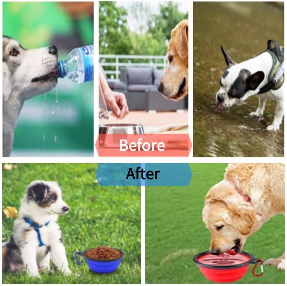 Pet Supplies : Collapsible Dog Bowl for Travel Foldable Expandable Cup Dish for Food or Water, Portable Dog Bowl Durable and Reusable for Pet Cat, Food Safe Silicone Lightweight & Leak-Proof, Free Carabiner 3-Pack : 