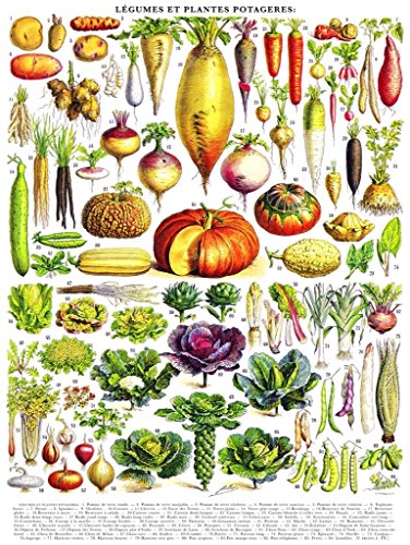 New York Puzzle Company - Vegetables ~ Légumes - 1000 Piece Jigsaw Puzzle