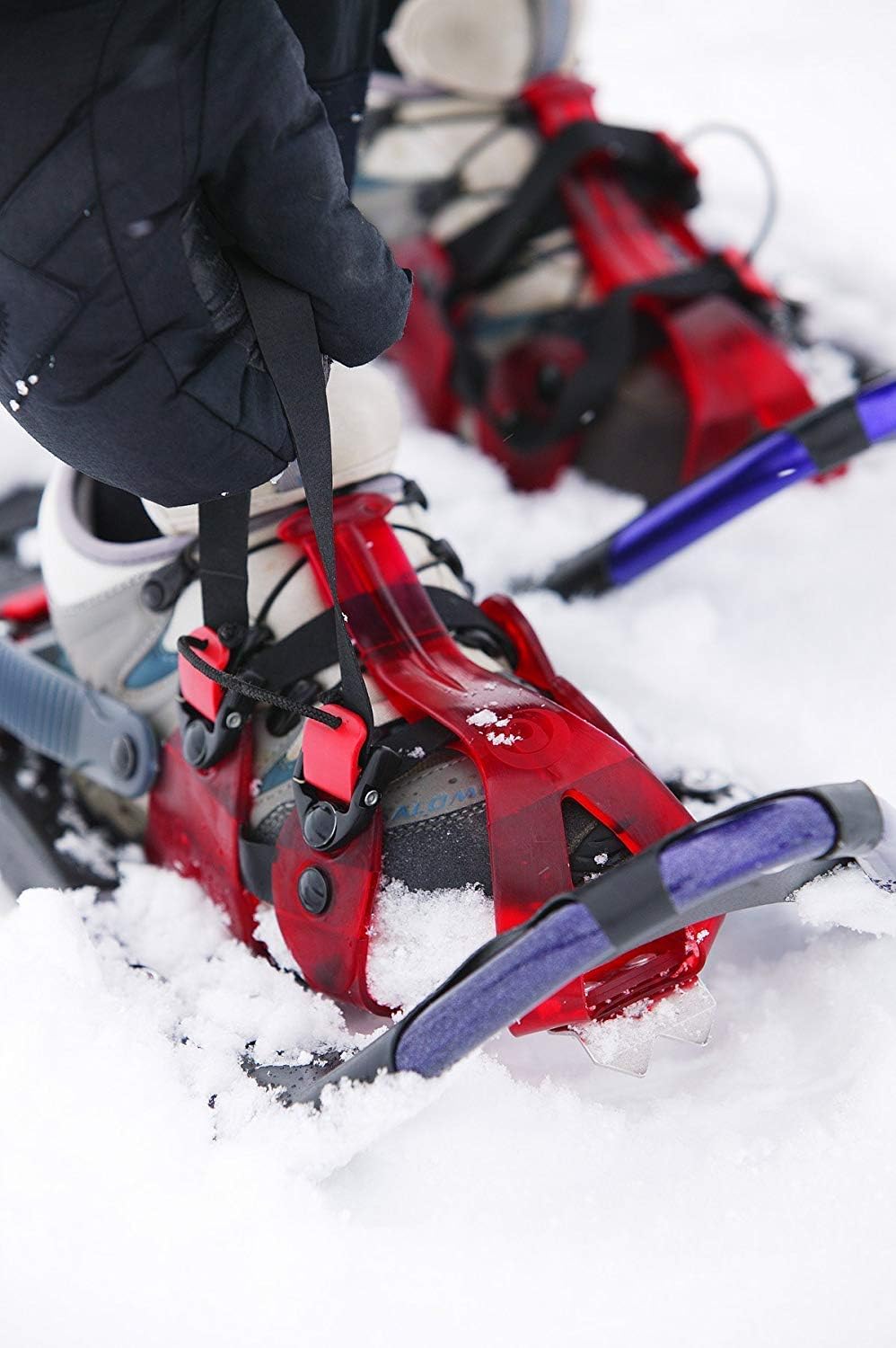 Amazon Com Crescent Moon Gold 10 Backcountry Snowshoes Lollypop Blue Snowshoes Sports Outdoors