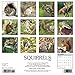 Squirrels 2018 Calendar