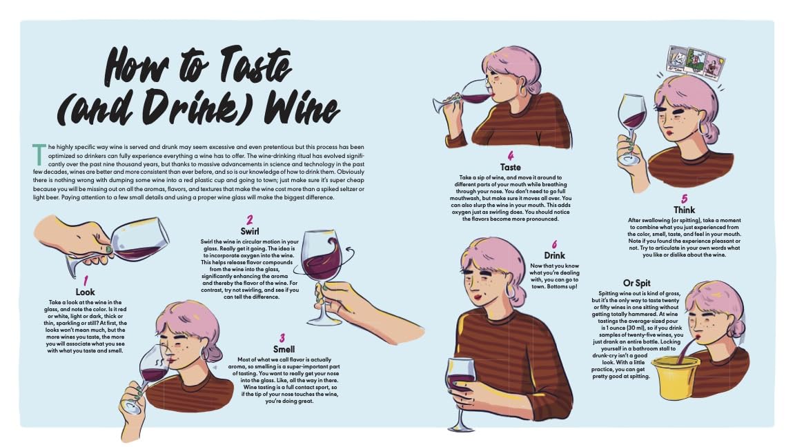 Rebel School Of Wine: A Visual Guide to Drinking with Confidence