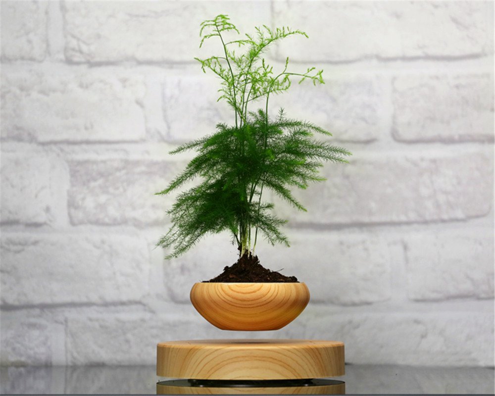 Magnetic Levitation Air Bonsai