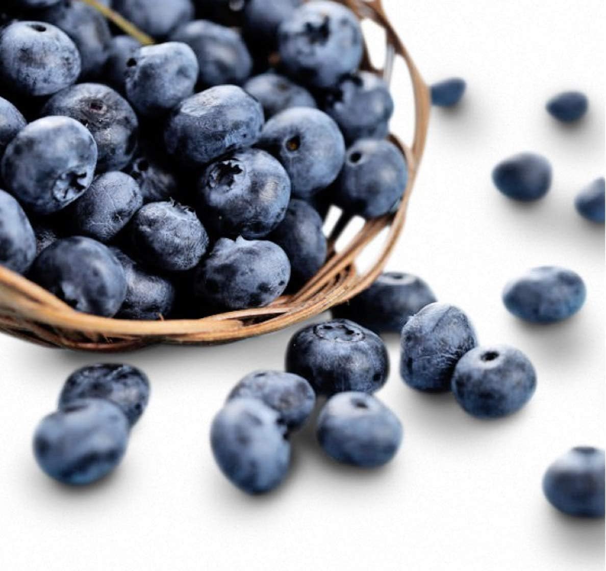 Jewel Blueberry Seeds + 1 Free Plant Marker (300) Garden