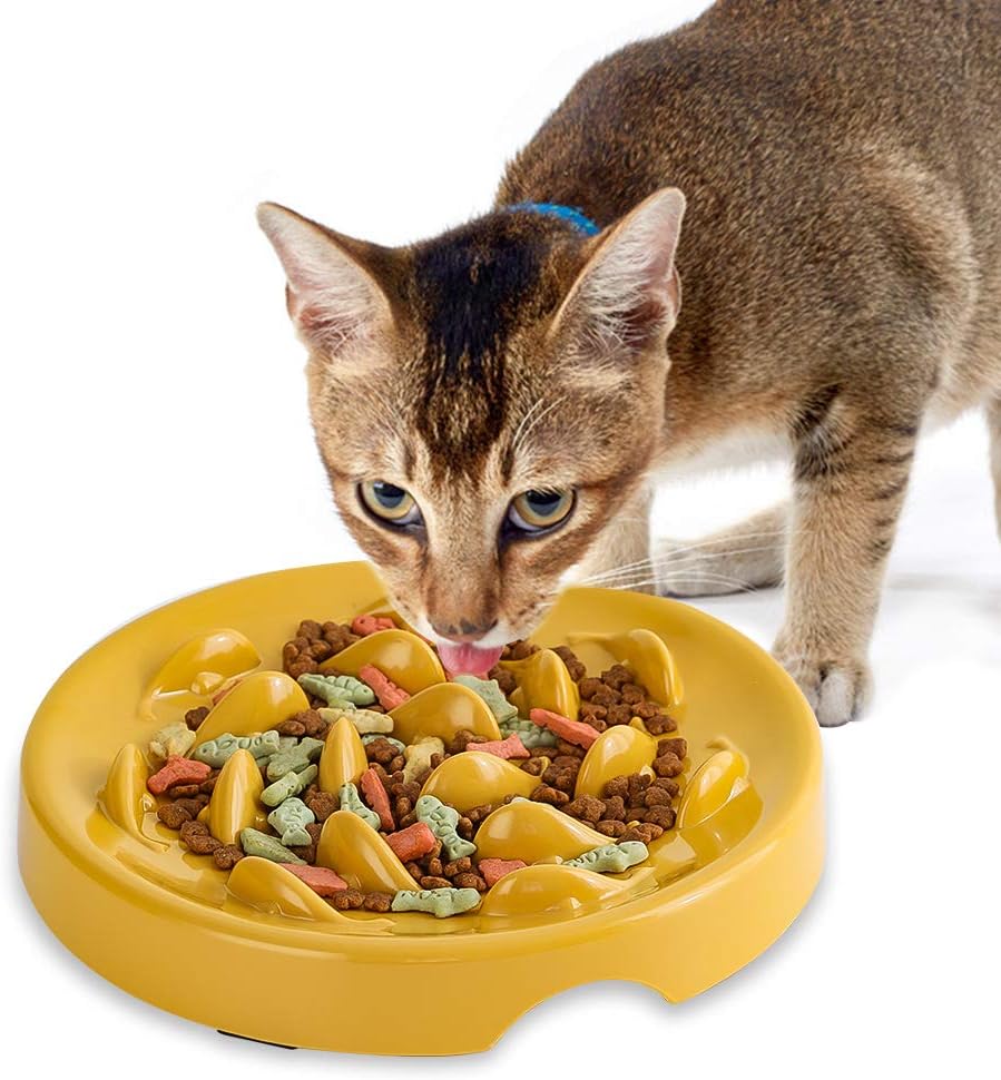 small slow feeder cat bowl