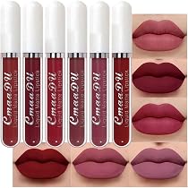 evpct Conjunto de 6 peças de batom líquido fosco para mulheres ...