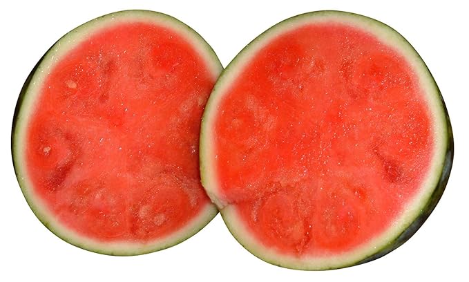 Wassermelone'Sugar-Baby - 10 Samen