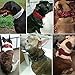 Berry Pet Sharp Spiked Studded Dog Collar - Stylish Leather Dog Collars - 2 Inch in Width Fit for Medium & Large Dogs - Such as Pitbull Mastiff - Black Rivets & Red Leather,17-20