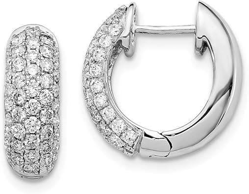 Amazon.com: 14k White Gold Diamond Hinged Hoop Earrings Ear Hoops Set