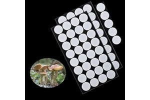 PESSILIN Mushroom Growing Supplies - 70Pcs 20mm 0.25 μm Filter Filter Disc Mushroom, Membrane Filter Sticker, Mycology Supplies, Applied Under Wide Mouth Jar Lid for Mushroom Cultivation