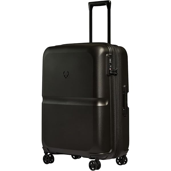 Amazon.com | Victorinox Spectra 2.0 Hardside Spinner Suitcase