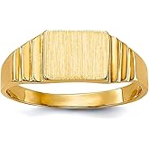 JewelryWeb 10k Solid Yellow Gold Satin Rectangular Signet Ring Size 2.25 Ring