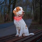 PcEoTllar Light Up Dog Collar 8 Modes USB Rechargeable Red 7 Colors view 3