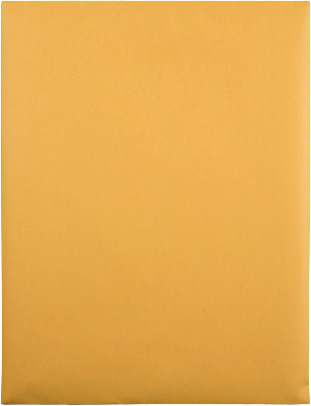 Quality Park 9 x 12 Clasp Envelopes with Deeply Gummed Flaps, Great for Filing, Storing or Mailing Documents, 28 lb Brown Kraft, 250 per Box (37590) : Office Products