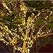 Solar String Lights Outdoor Garden Decorative Light Sogrand 200LED Warm White Fairy Landscape Lighting for Party Patio Yard