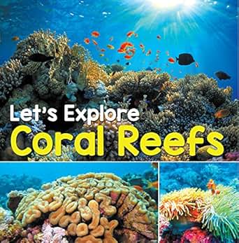 Amazon Com Let S Explore Coral Reefs Under The Sea For