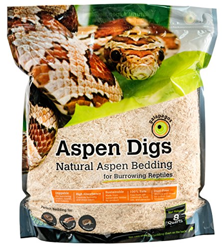 Galapagos Aspen Digs Bedding
