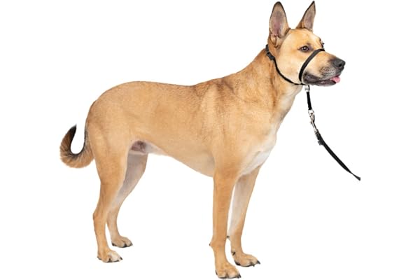 Petsafe Easy Walk Headcollar – No-Pull Dog Collar – Perfect for Leash & Harness Training – Stops Pets from Pulling and Chokin