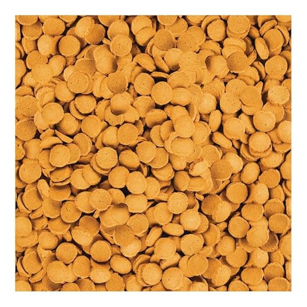TETRA SHRIMPWAFERS COMPLETE DIET FOR CATFISH AND LOACHES 3 OUNCE