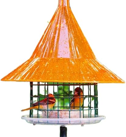 Amazon Com Gc Arundale Skycafe Orange Oriole Bird Feeder