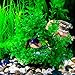 COLIBROX Plastic Fish Tank Plants Artificial Aquarium Plants Realistic Water Plant for Aquariums Decorations,6.6 inches Tall Green