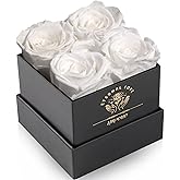 Impouo Preserved Rose,Gifts for Her, Birthday Gifts for Women, Gifts for Mom/Girlfriend/Wife/Grandma Christmas, Birthday, Valentine's Day - White Rose