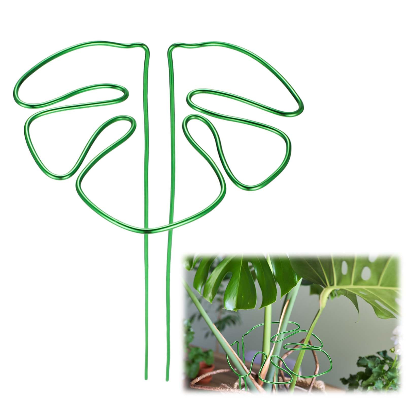 lasuroa Monstera Shaped Plant Support, Cute Green Metal Support Ring Case Monstera Leaf Plant Flower Shaped Support Stand for Plant Stakes for Indoor Outdoor Plants