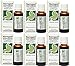 Iberogast 100mL (6 Bottles)