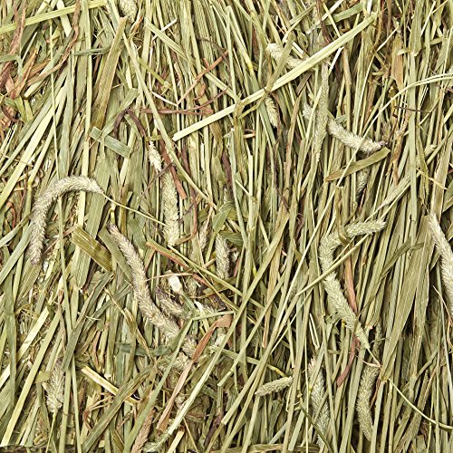4 Kaytee+Wafer+Cut+Hay+60+Oz
