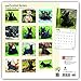 Scottish Terriers 2018 12 x 12 Inch Monthly Square Wall Calendar, Animals Dog Breeds (Multilingual Edition)