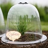 Bosmere Haxnicks 3 Small Victorian Bell Coche Plant Protection 20x25 cm view 2