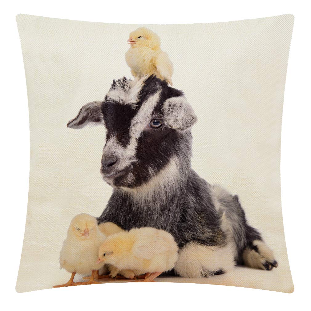 CANSEGO Farm Animals Cute Newborn Goat and Chickens Throw Pillow Case,Cotton Linen Cushion Cover Square Standard Home Decorative for Sofa Bedroom Men/Women 18x18 Inch