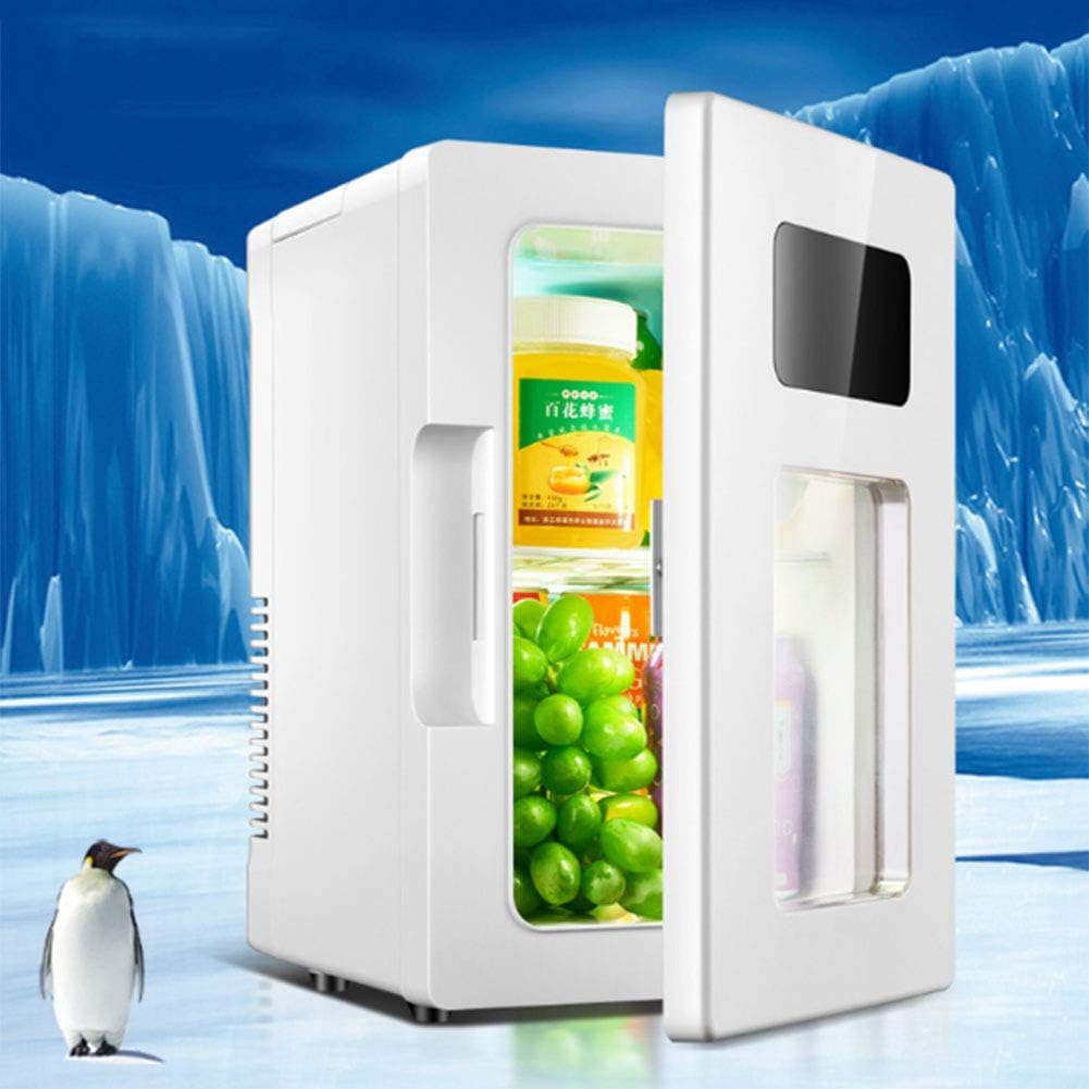 small refrigerator for car