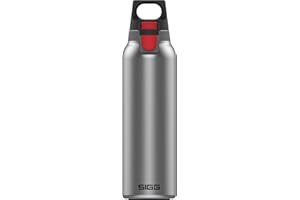 SIGG - Insulated Thermo Flask Hot & Cold ONE Light - with Fruit Filter - Leakproof - BPA-Free 18/8 Stainless Steel 19Oz