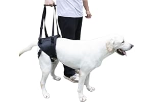 ZDBFu Large Dog Rear Leg Support Harness Designed for Dogs with hind Leg Weakness, Disability, or Injury Assists with Arthritis and Anterior cruciate Ligament Recovery