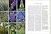 The New American Herbal: An Herb Gardening Book